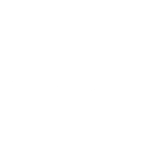 logo-cliente-branding-peluqueria-paparazzi-diseno-web-flipando